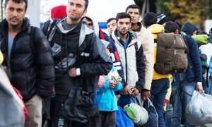 Hushdar-imigrant-4